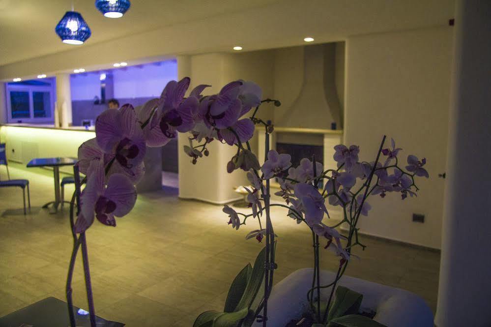 La Bella Trani - Suites And B&B מראה חיצוני תמונה